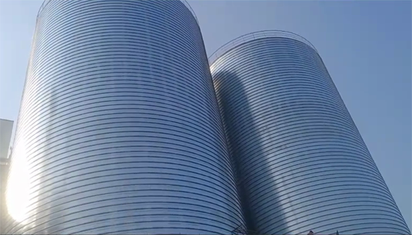 灵宝2座混凝土高架卷板仓